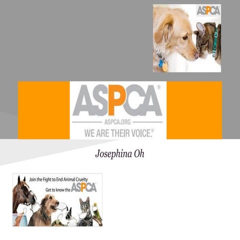 ASPCA presentation | PDF