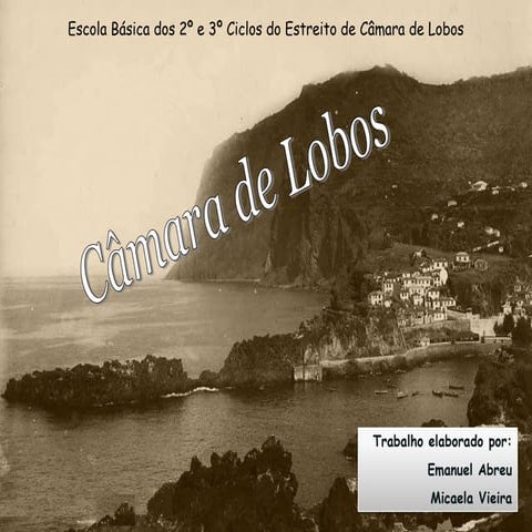 Power point camara de lobos | PPTX