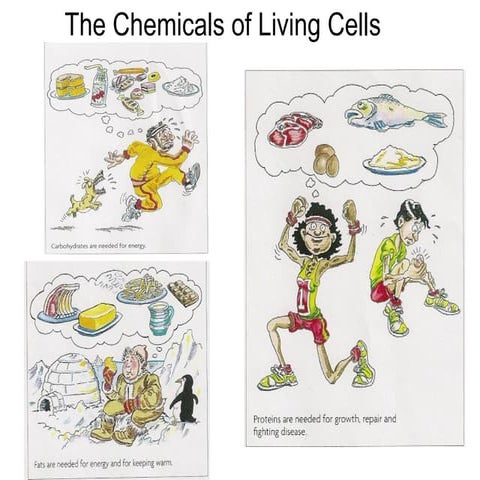 Powerpoint chemicals of-life - copy