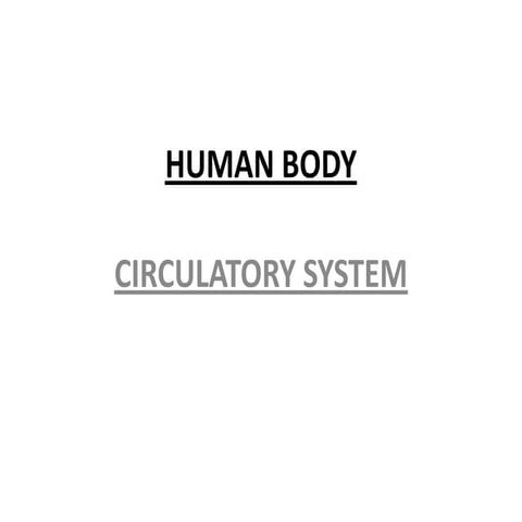 Powerpoint circulatory system