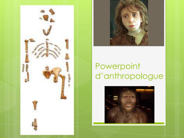 Powerpoint d’anthropologue