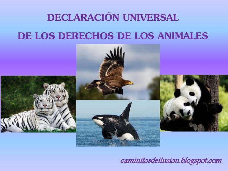 Declaración Universal de los Derechos de los Animales