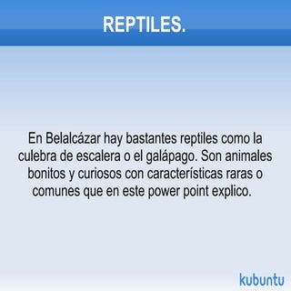 Power point de reptiles