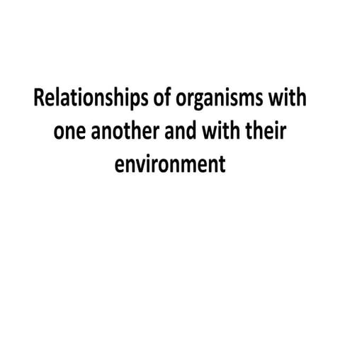 Powerpoint environment