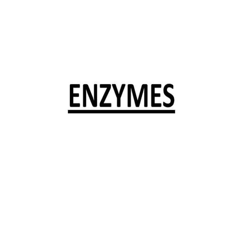 Powerpoint enzymes