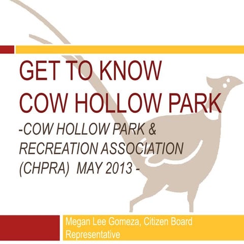 Get to Know Cow Hollow Park