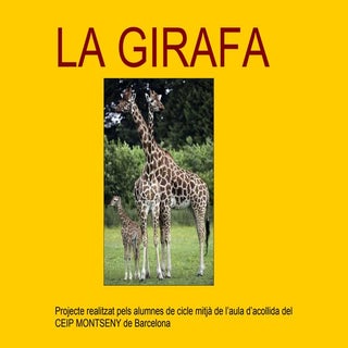 Power Point Girafa