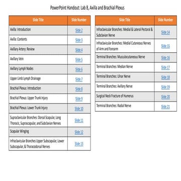 PowerPointHandout_AxillaBrachialPlexus.pdf