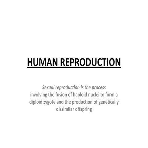 Powerpoint human reproduction