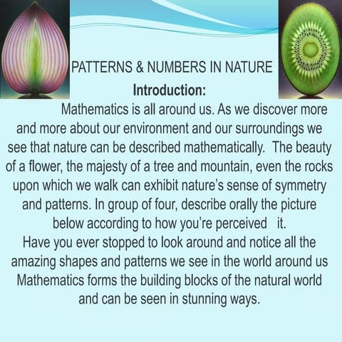 POWER POINT IN PATTERN IN NATURE.pdf