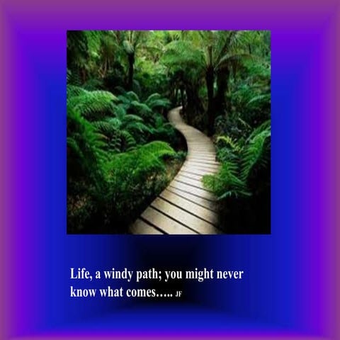 Powerpoint integrity vs despair by VJeanetteF