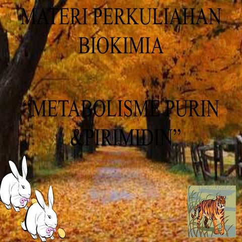 Power point klmpk 1.metbolisme purin & pirimidin AKBID PARAMATA RAHA 