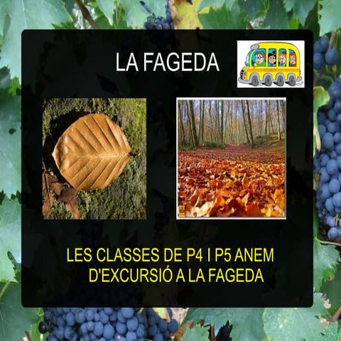 Projecte La Fageda (català) | PPT