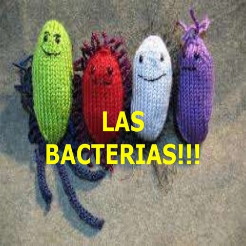 Power point las bacterias