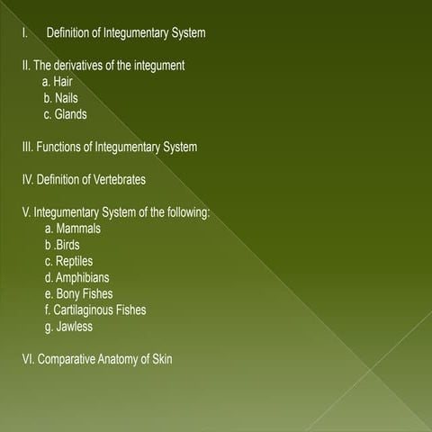 Powerpoint of  integumentary system of vertebrates