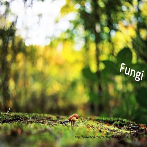 Powerpoint of Pictures to do with Sickness