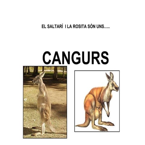 Els cangurs