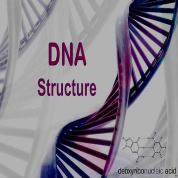 Powerpoint presentation in DNA of living organisms