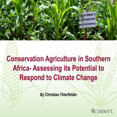 Conservation Agriculture in Southern Africa-Assessing its Potential to Respon...