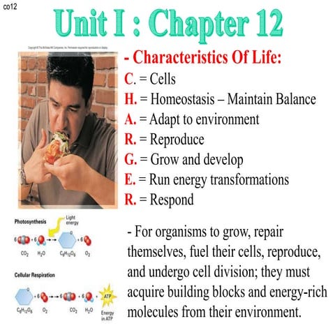 Ashiq wazir digestive presntion+.ppt