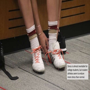 Powerpoint Project: Issue Story 