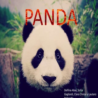Powerpoint Panda