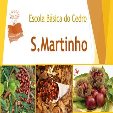 S. Martinho