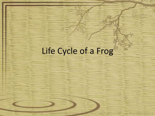 Powerpoint for science module life cycle of a frog