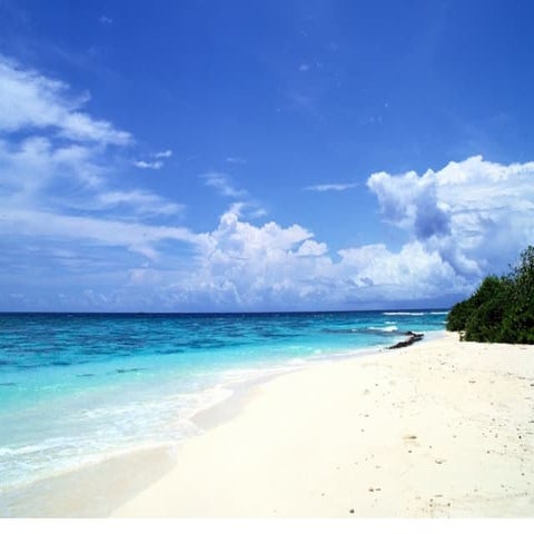 Powerpoint svenska tal