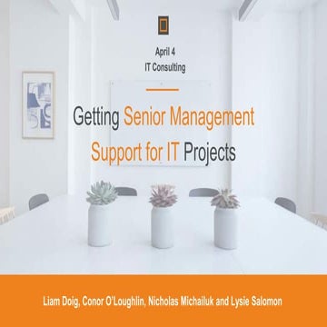 The Importance of Top Management Support for IT Projects.pdf