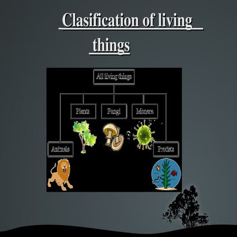 Classification of Living Things