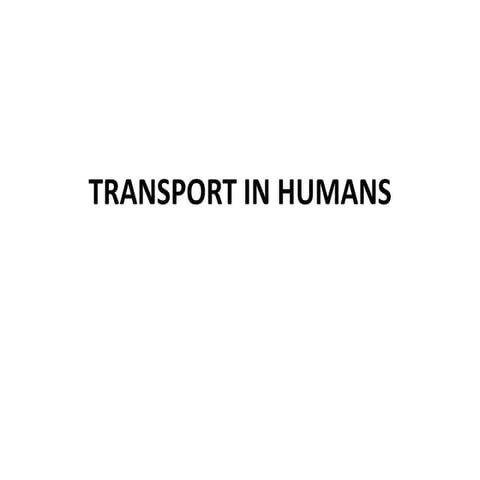 Powerpoint transport in humans