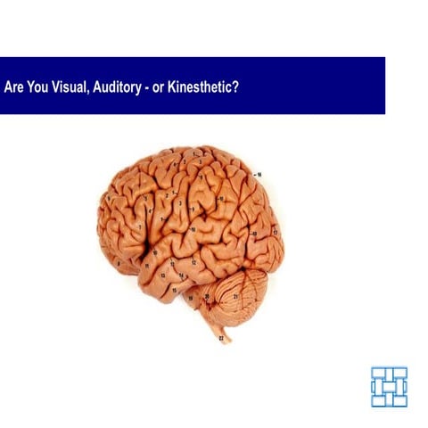 Are You Visual, Auditory-or Kinesthetic?