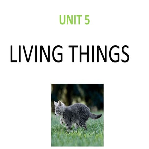 Power point unit 5 de primero