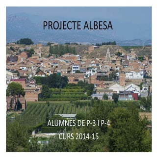Power projecte albesa