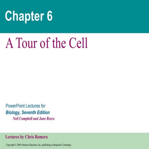 Power pt on cell structure