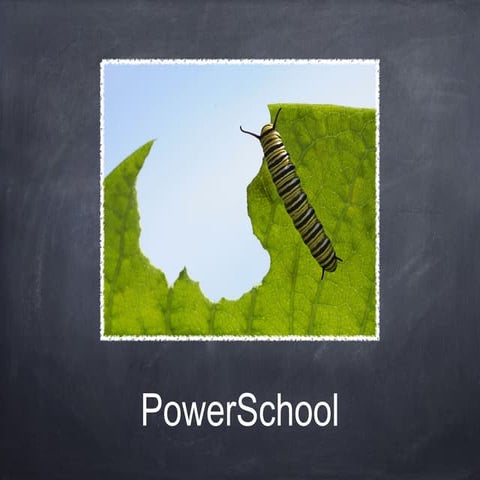 Power school training