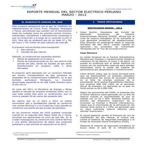 Power sector marzo_espanol-wfa