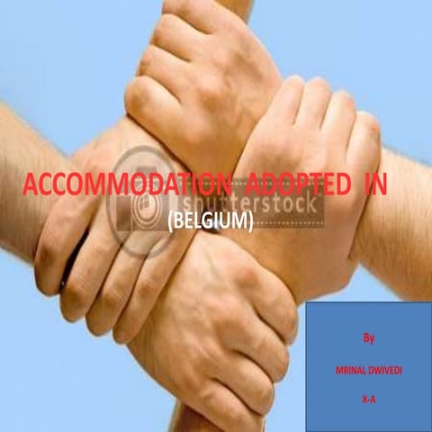 Power sharing in belgium and srilanka