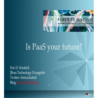 Is Platform as a Service your future?