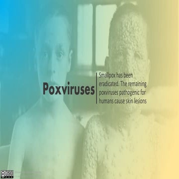 Poxvirus