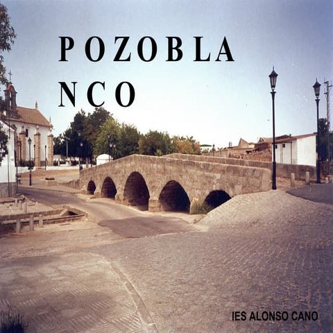  Pozoblanco Patricia Molina Palma 