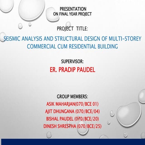 Fianl Year Project.pptx