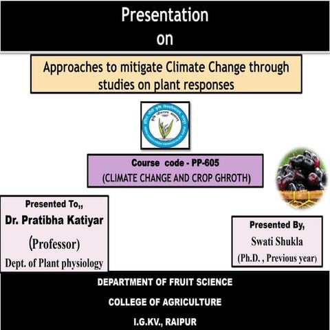 Approaches to mitigate climate change | PPTX