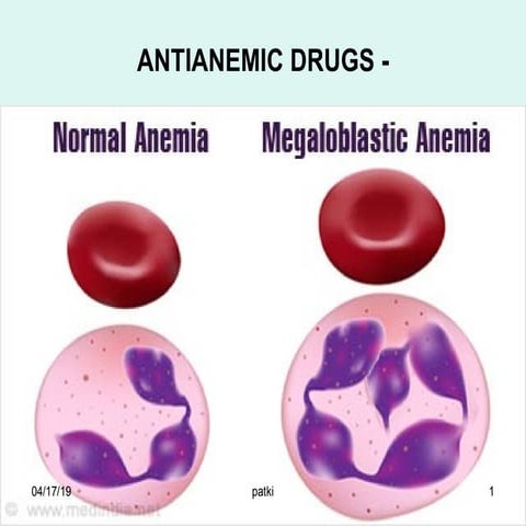 Pp antianemic drugs