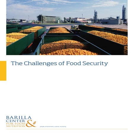 Position Paper: The Challenges of Food Security