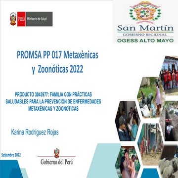 PP 017 METAX Y ZOON PROMSA 2022 ppt | PPT