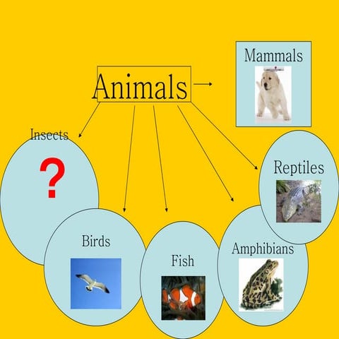 78_7yrs_Day1 Pp 1[1]. Animals (7)