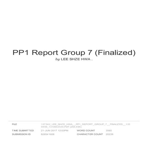 PP1 report group 7 (finalized)