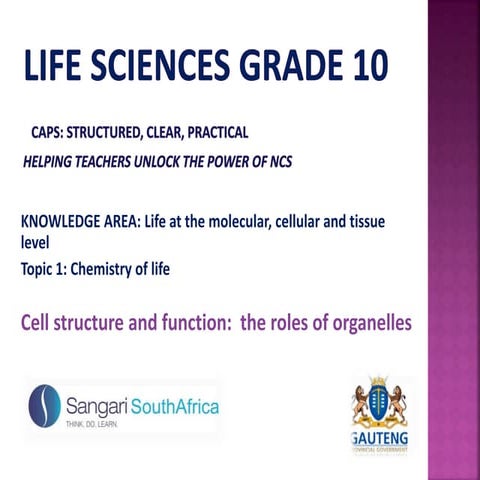 Ppt Cell Structure And Functions 1 Pptx